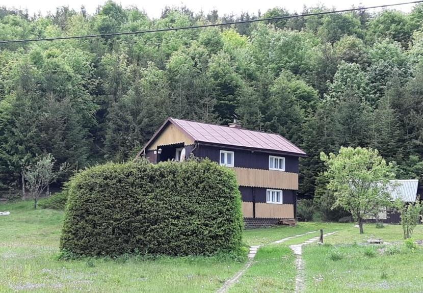 Вилла Fleurs De Myto Мито-под-Дюмбьером Экстерьер фото
